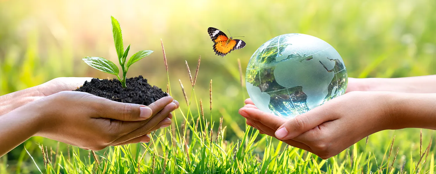 Sustainability and environmental awareness